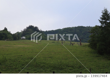 初夏の白馬八方尾根の風景 初夏の白馬八方尾根の風景 139917464