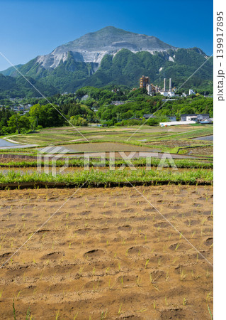 田植え後の水田と武甲山・横瀬町 田植え後の水田と武甲山・横瀬町 139917895