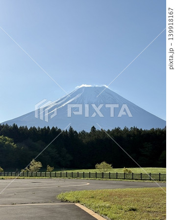 新緑越しに望む美しい富士山 139918167