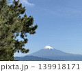 新緑越しに望む美しい富士山 139918171
