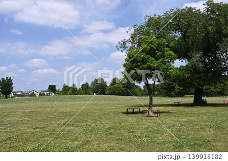杉並区の高井戸公園の広場と木の風景 杉並区の高井戸公園の広場と木の風景 139918182