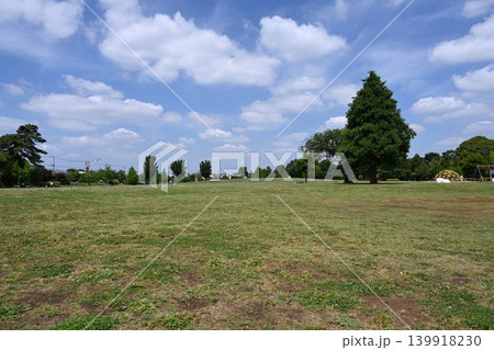 杉並区の高井戸公園の広場と木のある風景 139918230