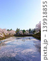 満開の桜　花筏　松が岬公園　さくら　サクラ　ソメイヨシノ 139918855