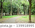 町の森 139918995
