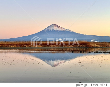 富士川から見る朝色に染まる富士山 富士川から見る朝色に染まる富士山 139919131