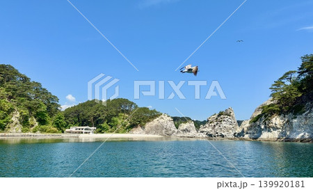 海猫が舞う青空、南部赤松の緑、エメラルドブルーの水面に彩られた浄土ヶ浜〈岩手県宮古市〉 139920181