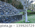 埼玉県寄居町の鉢形城公園 139920729