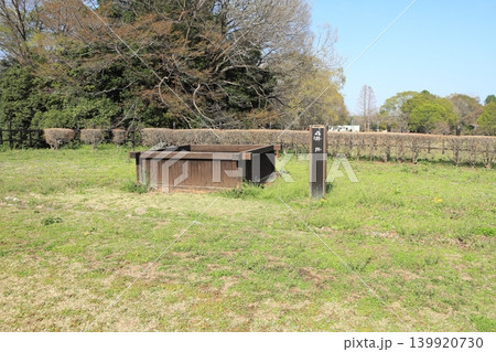 埼玉県寄居町の鉢形城公園 139920730