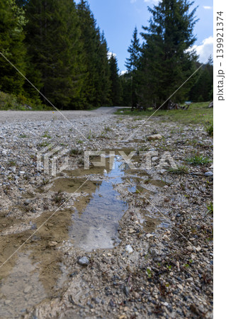 Wet Gravel Forest Road with Puddle Reflection Wet Gravel Forest Road with Puddle Reflection 139921374