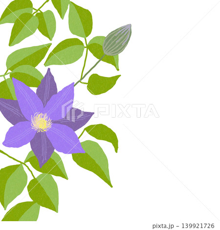 手描きの花のイラスト　クレマチス 139921726