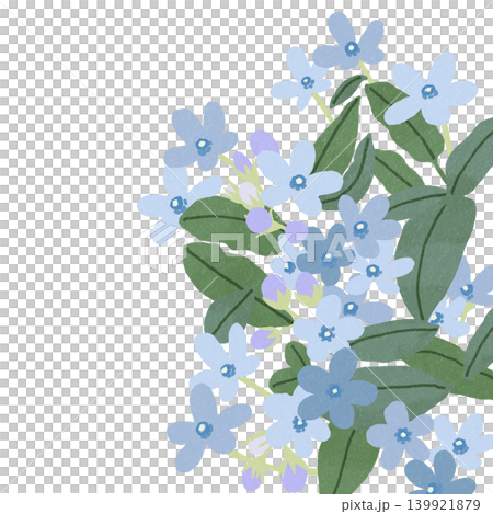 Hand-drawn flower illustration: Blue Star Hand-drawn flower illustration: Blue Star 139921879
