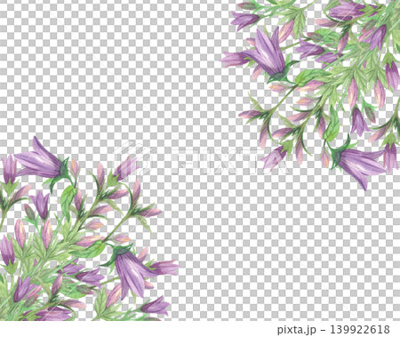 Corners frame of the bluebells branches. Meadow flower watercolor illustration. Handmade art work. For packaging design, cards, cover, prints, product labels and fabric. Corners frame of the bluebells branches. Meadow flower watercolor illustration. Handmade art work. For packaging design, cards, cover, prints, product labels and fabric. 139922618
