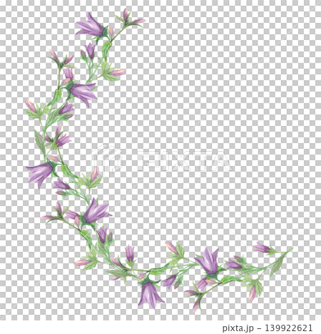 An arc of bellflower branches. Meadow flower watercolor illustration. Handmade art work. For packaging design, cards, cover, prints, product labels and fabric. An arc of bellflower branches. Meadow flower watercolor illustration. Handmade art work. For packaging design, cards, cover, prints, product labels and fabric. 139922621