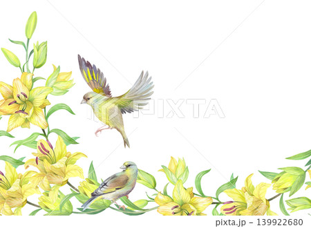 Corners frame of the lilies and birds. Handmade watercolor illustration. For packaging design, cards, cover, prints, product labels and fabric. 139922680