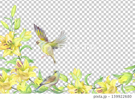 Corners frame of the lilies and birds. Handmade watercolor illustration. For packaging design, cards, cover, prints, product labels and fabric. 139922680