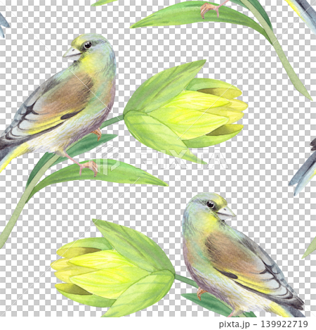 Seamless pattern of the birds and yellow lilies. Handmade watercolor illustration. For packaging design, cards, cover, prints, product labels and fabric. Seamless pattern of the birds and yellow lilies. Handmade watercolor illustration. For packaging design, cards, cover, prints, product labels and fabric. 139922719