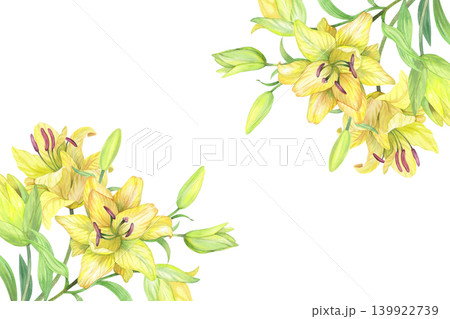 Corners frame of the lilies. Handmade watercolor illustration. For packaging design, cards, cover, prints, product labels and fabric. Corners frame of the lilies. Handmade watercolor illustration. For packaging design, cards, cover, prints, product labels and fabric. 139922739