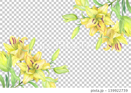 Corners frame of the lilies. Handmade watercolor illustration. For packaging design, cards, cover, prints, product labels and fabric. Corners frame of the lilies. Handmade watercolor illustration. For packaging design, cards, cover, prints, product labels and fabric. 139922739