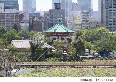 不忍池弁天堂と背景に広がる上野のビル群の景色 不忍池弁天堂と背景に広がる上野のビル群の景色 139923438
