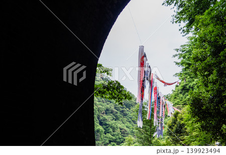 愛岐トンネル群春の特別公開 139923494