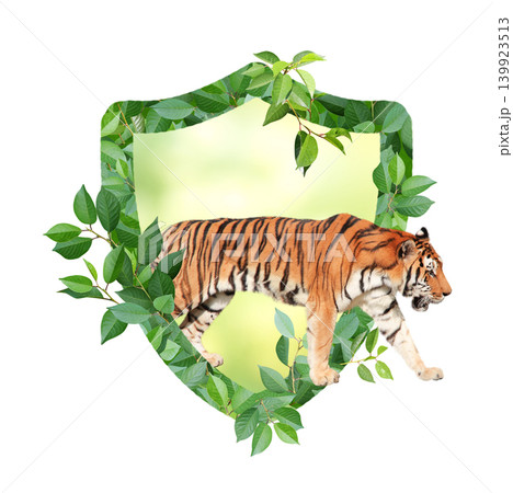 Tiger and Shield made from green leaves. Safety, ecology, global ecological resource, go green concept. Environmental conservation, wildlife protection, Eco-friendly. Isolated on white background Tiger and Shield made from green leaves. Safety, ecology, global ecological resource, go green concept. Environmental conservation, wildlife protection, Eco-friendly. Isolated on white background 139923513