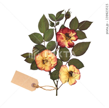 Dried rose flowers, twigs with leaves and retro tag. Dry pressed leaf, flower and paper label. Can be used for retro, vintage and nostalgic scrapbooking design. Isolated on white background 139923515