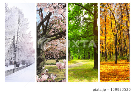 Set of nature banners depicting natural landscape. Four season of year. Each one features scene of nature, from snow of winter to vibrant leaves of fall. Perfect for showcasing of changing seasons Set of nature banners depicting natural landscape. Four season of year. Each one features scene of nature, from snow of winter to vibrant leaves of fall. Perfect for showcasing of changing seasons 139923520