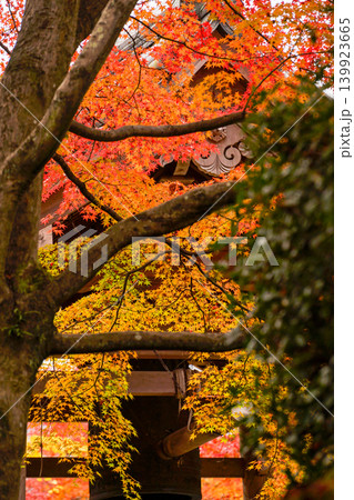 紅葉に包まれる常寂光寺の鐘楼 139923665