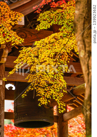 紅葉に包まれる常寂光寺の鐘楼 139923682