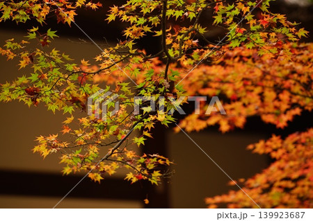 常寂光寺境内の紅葉 常寂光寺境内の紅葉 139923687
