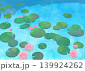 水面に咲く蓮の花 139924262