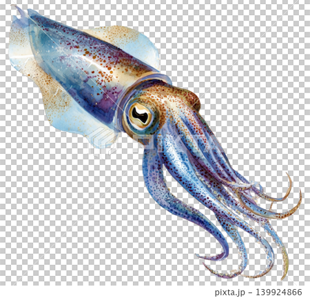 squid 139924866