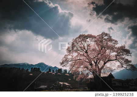 雲のかかる山と桜 雲のかかる山と桜 139925238
