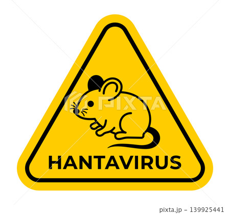Hantavirus warning sign illustration, yellow triangular caution symbol with mouse icon and bold text for rodent disease risk, infection prevention, pest control and public health safety Hantavirus warning sign illustration, yellow triangular caution symbol with mouse icon and bold text for rodent disease risk, infection prevention, pest control and public health safety 139925441