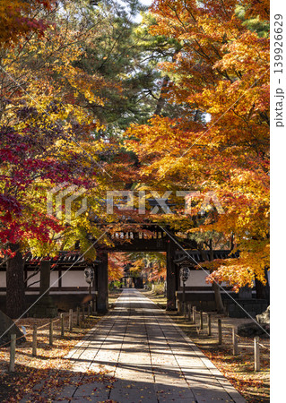 紅葉に包まれた山門 紅葉に包まれた山門 139926629