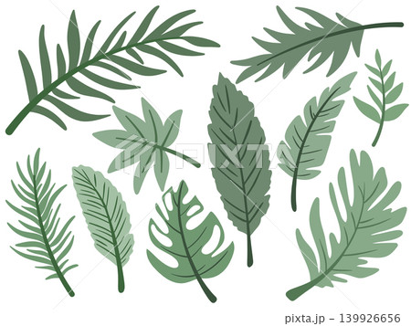 Collection of green hand drawn tropical leaves Collection of green hand drawn tropical leaves 139926656