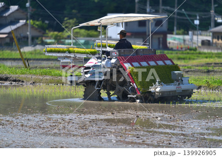 農業 田植え機 田植え 男性 農業 田植え機 田植え 男性 139926905