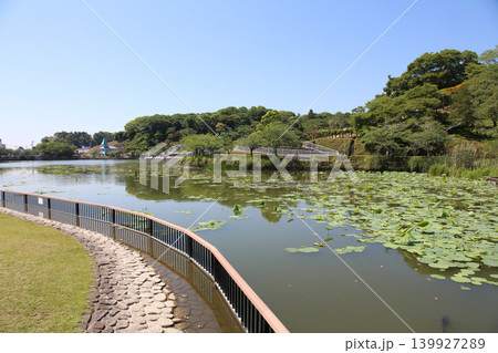 蓮華寺池公園 蓮華寺池 藤枝市 静岡県 東海地方 花・水・鳥・笑顔の楽園 蓮 花菖蒲 公園 蓮華寺池公園 蓮華寺池 藤枝市 静岡県 東海地方 花・水・鳥・笑顔の楽園 蓮 花菖蒲 公園 139927289
