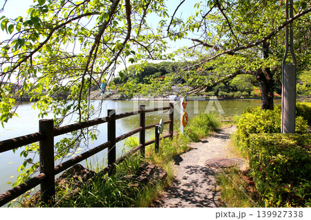 蓮華寺池公園　蓮華寺池　藤枝市　静岡県　東海地方　花・水・鳥・笑顔の楽園　蓮　花菖蒲　公園　 139927338