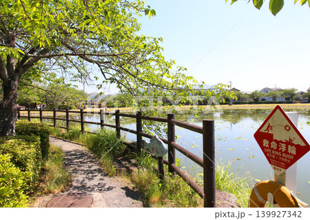 蓮華寺池公園 蓮華寺池 藤枝市 静岡県 東海地方 花・水・鳥・笑顔の楽園 蓮 花菖蒲 公園 蓮華寺池公園 蓮華寺池 藤枝市 静岡県 東海地方 花・水・鳥・笑顔の楽園 蓮 花菖蒲 公園 139927342