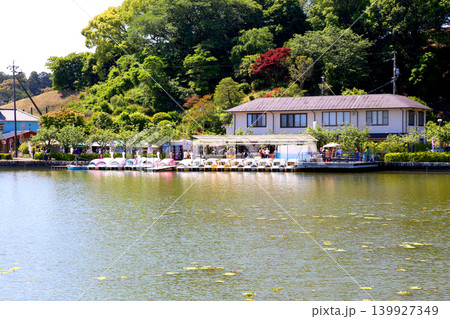 蓮華寺池公園 蓮華寺池 藤枝市 静岡県 東海地方 花・水・鳥・笑顔の楽園 蓮 花菖蒲 公園 蓮華寺池公園 蓮華寺池 藤枝市 静岡県 東海地方 花・水・鳥・笑顔の楽園 蓮 花菖蒲 公園 139927349