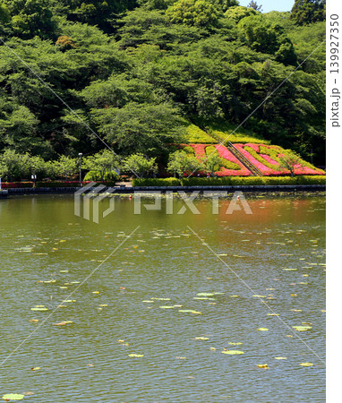 蓮華寺池公園 蓮華寺池 藤枝市 静岡県 東海地方 花・水・鳥・笑顔の楽園 蓮 花菖蒲 公園 蓮華寺池公園 蓮華寺池 藤枝市 静岡県 東海地方 花・水・鳥・笑顔の楽園 蓮 花菖蒲 公園 139927350