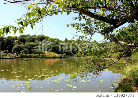 蓮華寺池公園 蓮華寺池 藤枝市 静岡県 東海地方 花・水・鳥・笑顔の楽園 蓮 花菖蒲 公園 蓮華寺池公園 蓮華寺池 藤枝市 静岡県 東海地方 花・水・鳥・笑顔の楽園 蓮 花菖蒲 公園 139927378