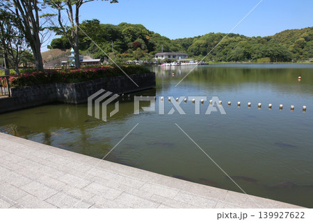 蓮華寺池公園 蓮華寺池 藤枝市 静岡県 東海地方 花・水・鳥・笑顔の楽園 蓮 れんげじいけ 蓮華寺池公園 蓮華寺池 藤枝市 静岡県 東海地方 花・水・鳥・笑顔の楽園 蓮 れんげじいけ 139927622