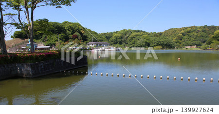 蓮華寺池公園　蓮華寺池　藤枝市　静岡県　東海地方　花・水・鳥・笑顔の楽園　蓮　れんげじいけ　　 139927624