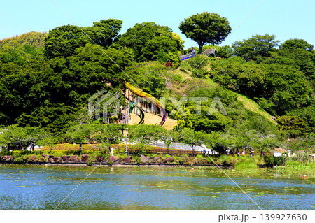 蓮華寺池公園 蓮華寺池 藤枝市 静岡県 東海地方 花・水・鳥・笑顔の楽園 蓮 れんげじいけ 蓮華寺池公園 蓮華寺池 藤枝市 静岡県 東海地方 花・水・鳥・笑顔の楽園 蓮 れんげじいけ 139927630