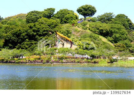 蓮華寺池公園 蓮華寺池 藤枝市 静岡県 東海地方 花・水・鳥・笑顔の楽園 蓮 れんげじいけ 蓮華寺池公園 蓮華寺池 藤枝市 静岡県 東海地方 花・水・鳥・笑顔の楽園 蓮 れんげじいけ 139927634