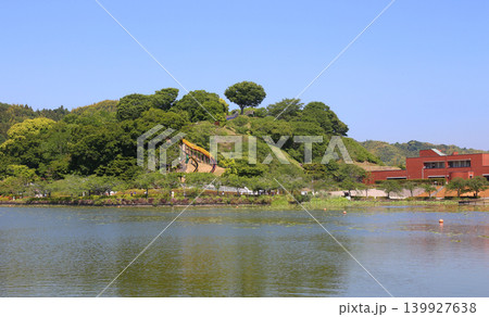 蓮華寺池公園 蓮華寺池 藤枝市 静岡県 東海地方 花・水・鳥・笑顔の楽園 蓮 れんげじいけ 蓮華寺池公園 蓮華寺池 藤枝市 静岡県 東海地方 花・水・鳥・笑顔の楽園 蓮 れんげじいけ 139927638