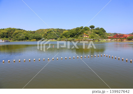 蓮華寺池公園 蓮華寺池 藤枝市 静岡県 東海地方 花・水・鳥・笑顔の楽園 蓮 れんげじいけ 蓮華寺池公園 蓮華寺池 藤枝市 静岡県 東海地方 花・水・鳥・笑顔の楽園 蓮 れんげじいけ 139927642
