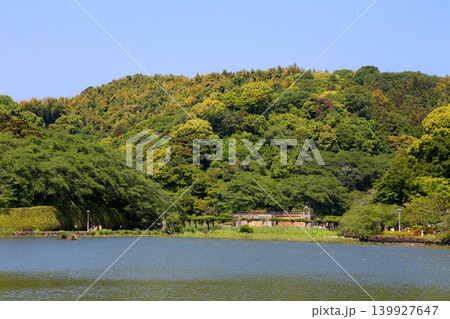 蓮華寺池公園 蓮華寺池 藤枝市 静岡県 東海地方 花・水・鳥・笑顔の楽園 蓮 れんげじいけ 蓮華寺池公園 蓮華寺池 藤枝市 静岡県 東海地方 花・水・鳥・笑顔の楽園 蓮 れんげじいけ 139927647